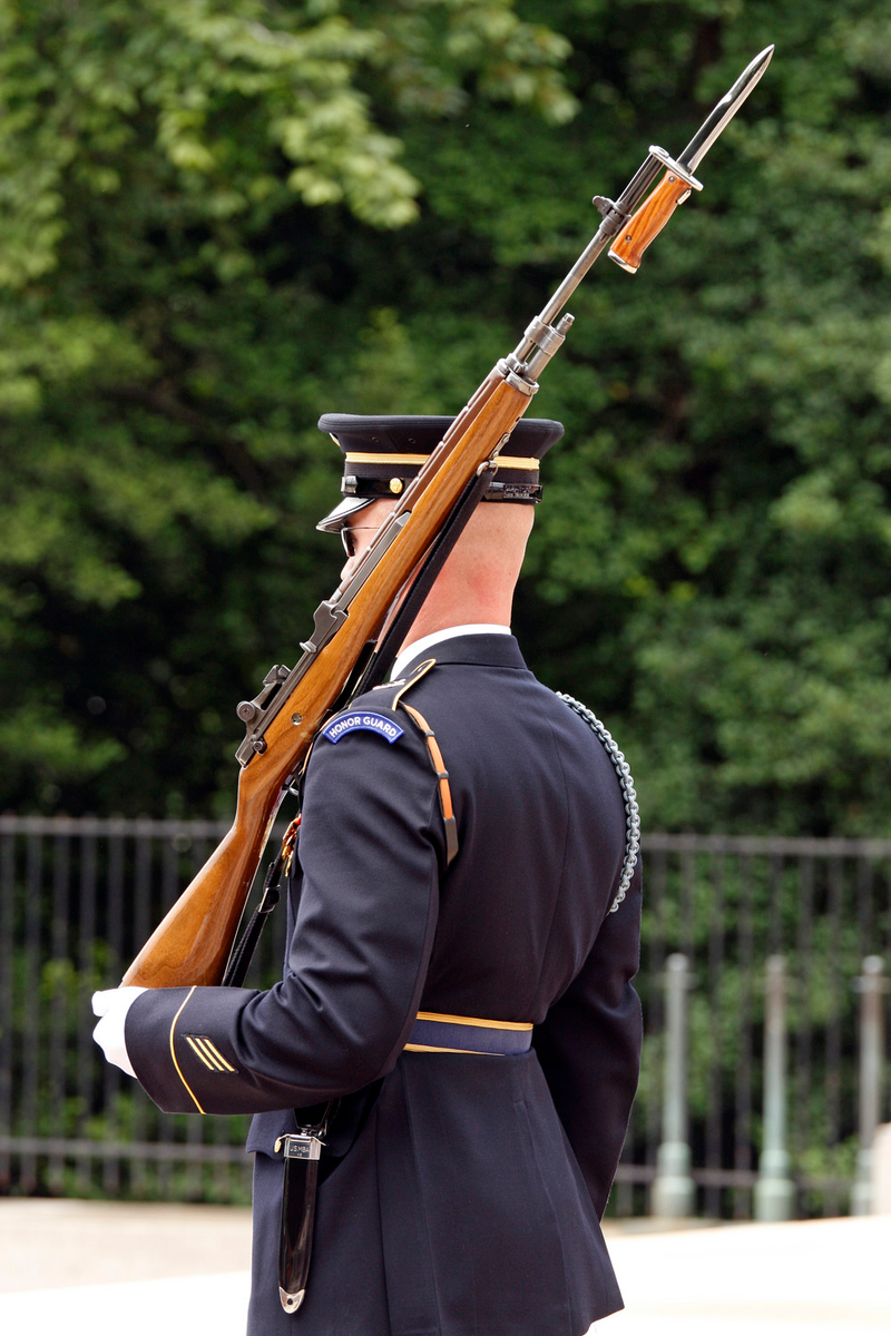 Illustration for article titled Arlington National Cemetery